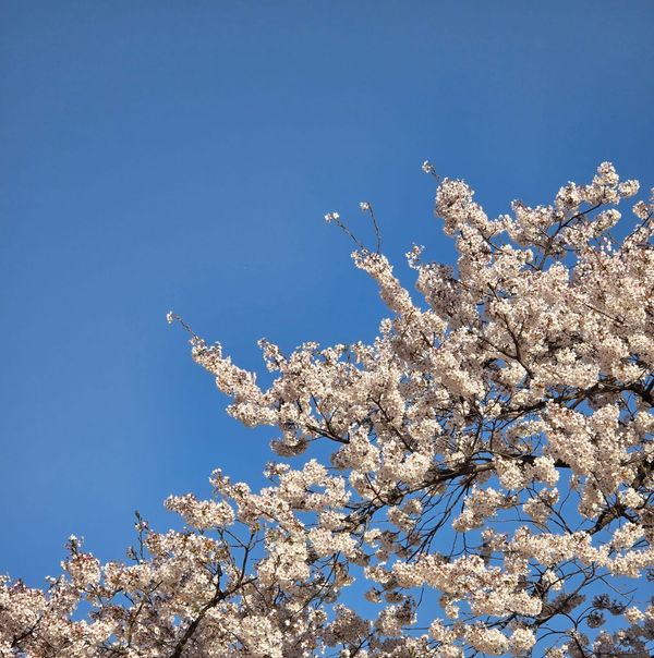 Prohibited Interview Questions in Korea: What Employers Must Know