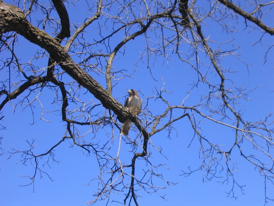 To exist is to aggress