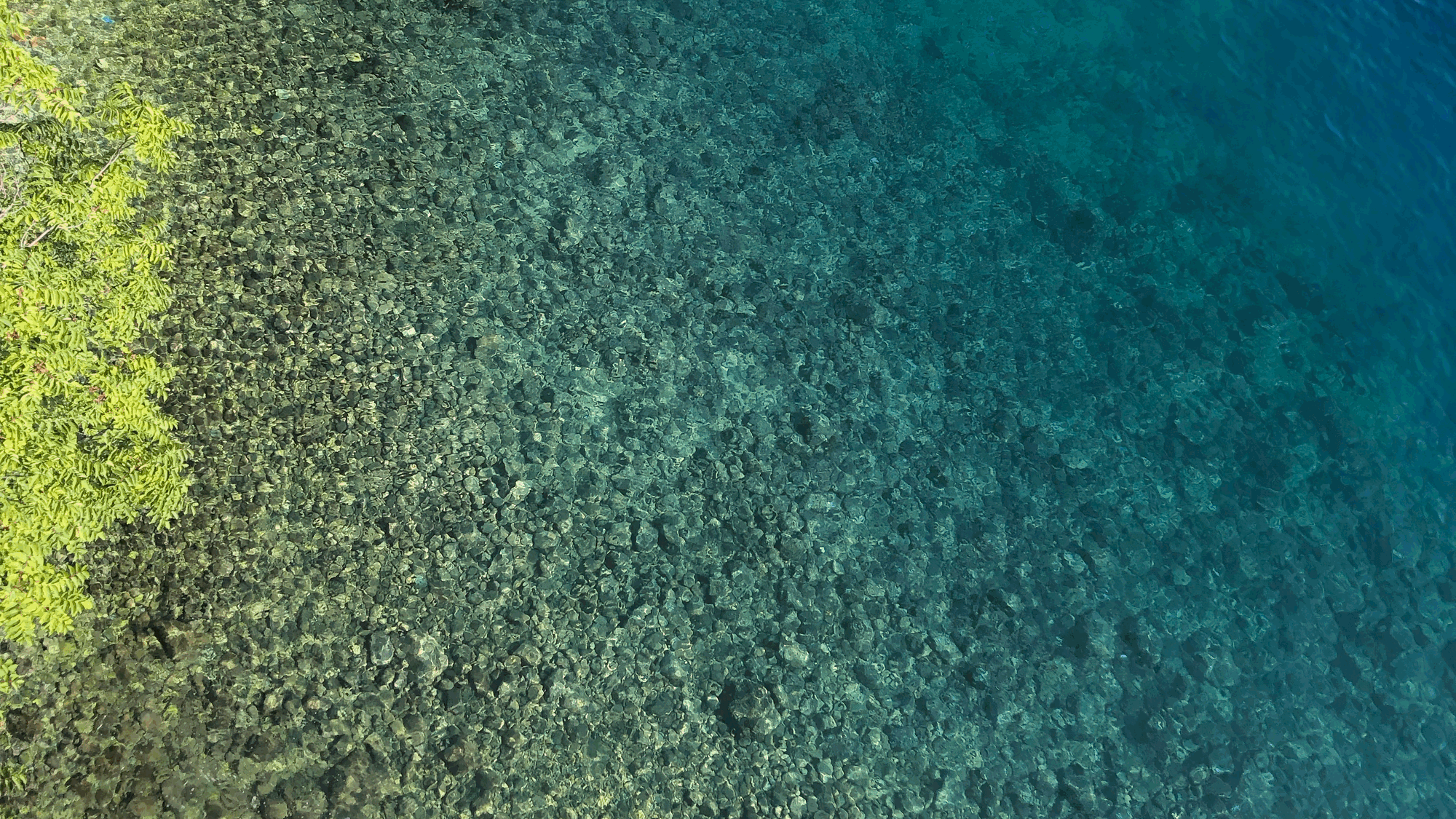Rijeka beautiful clear sea beach