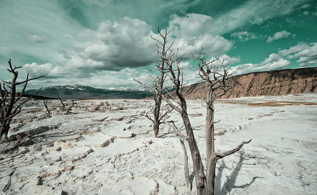 Financial system not adapting to climate risk fast enough