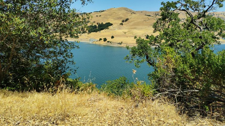 California water utility appoints Chief Sustainability Officer