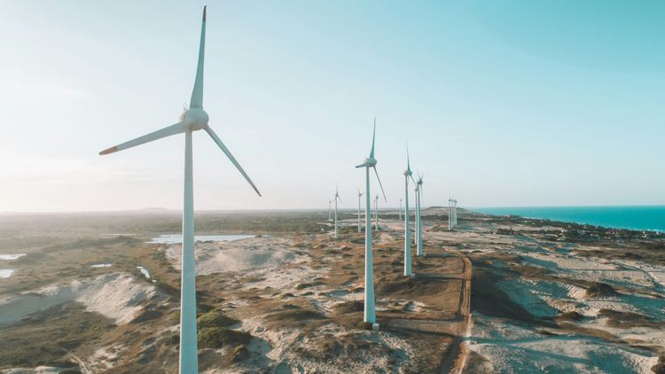 2023 ‘best year’ for wind energy capacity