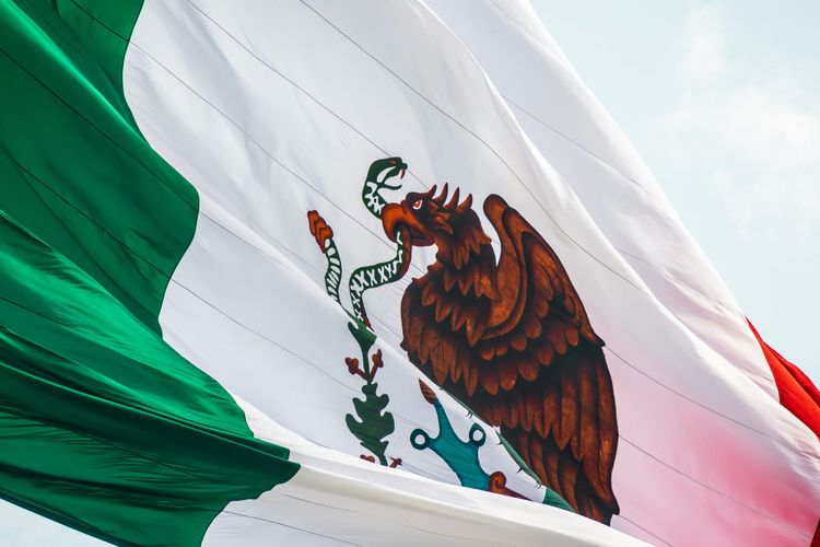 Incoming Mexican president taps renewables expert as secretary of energy