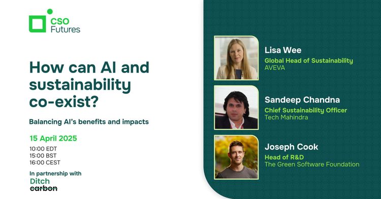 How can AI and sustainability co-exist?