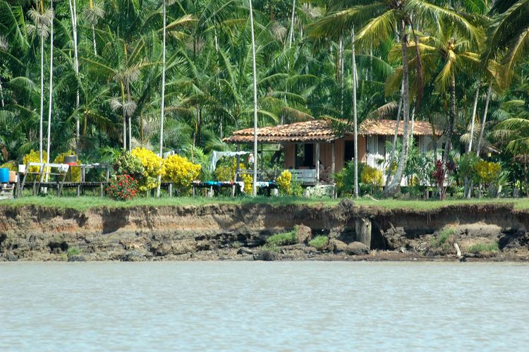 Brazil names top climate negotiator as COP30 president