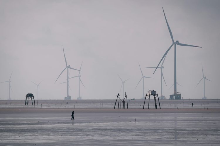 Record wind installations in 2024 mask volatility and uncertainty for the sector