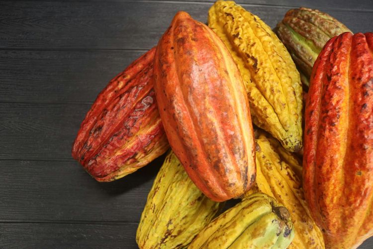 Nestlé enters nature restoration partnerships in cocoa supply chain