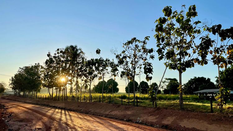 We Mean Business Coalition urges companies to overcome ‘hesitations’ and show up at COP30