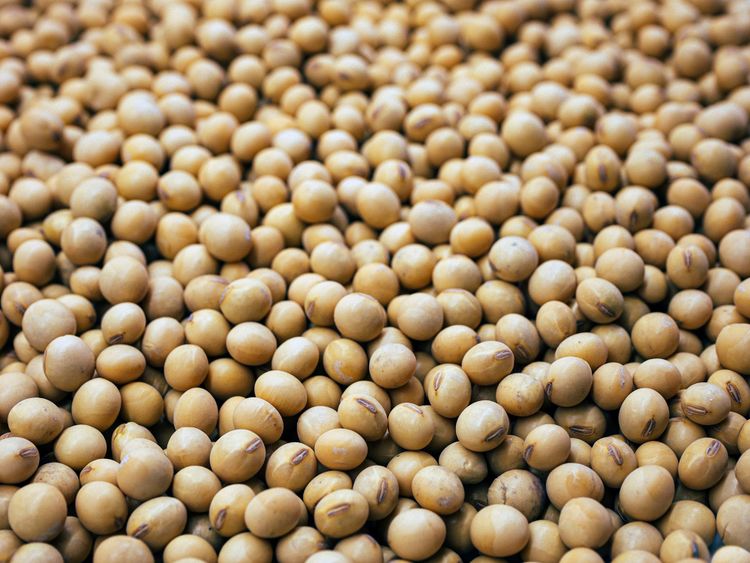 UK supermarkets ask commodity traders to maintain Brazil Soy Moratorium
