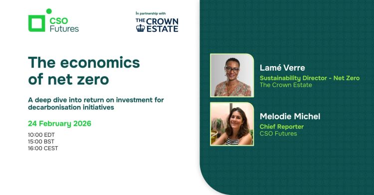 The economics of net zero