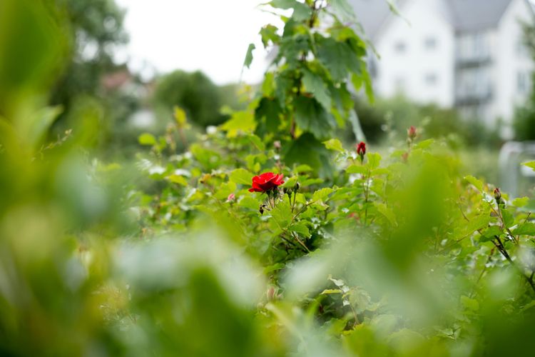 Report highlights financial value unlocked by companies embedding climate and nature