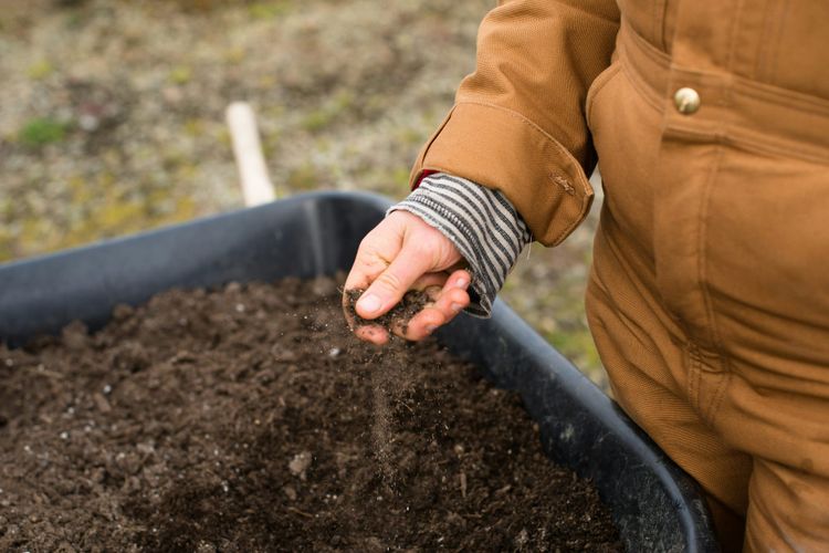 Microsoft inks large deal with soil carbon credit firm Indigo