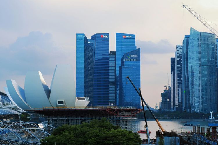 Singapore bank DBS names new Chief Sustainability Officer