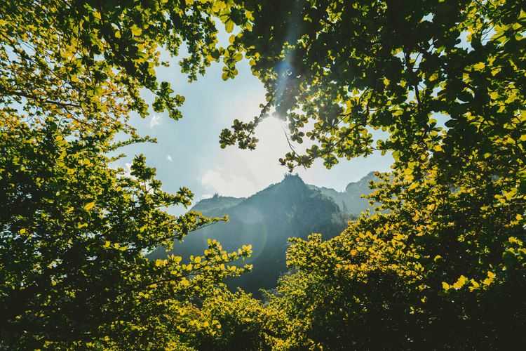 Nature as a blind spot? How to stop your business underestimating its reliance on nature