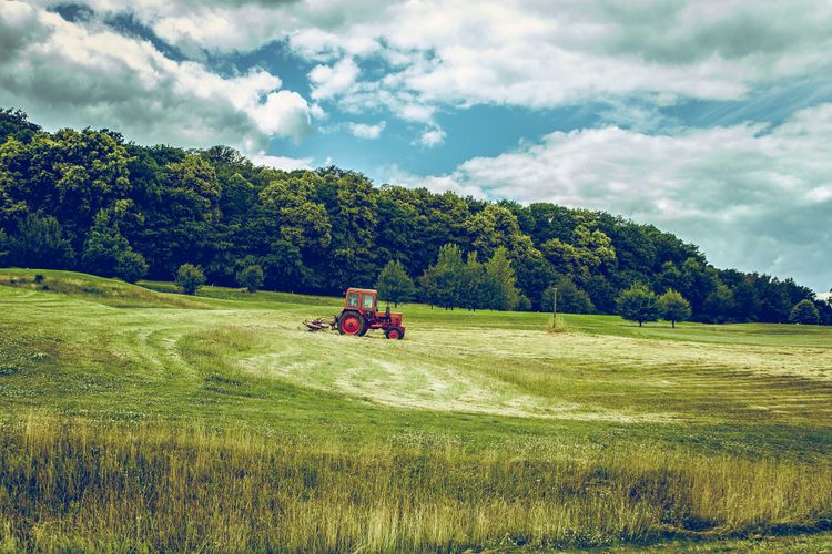 Lloyds partners with regenerative food company on ‘Food and Nature Resilience Fund’