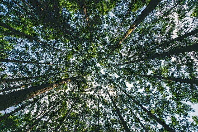 GHG Protocol under fire as board member resigns to protest lack of transparency