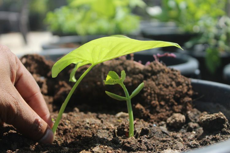 Annual private investment in nature tops US$14bn – a fivefold increase in 10 years