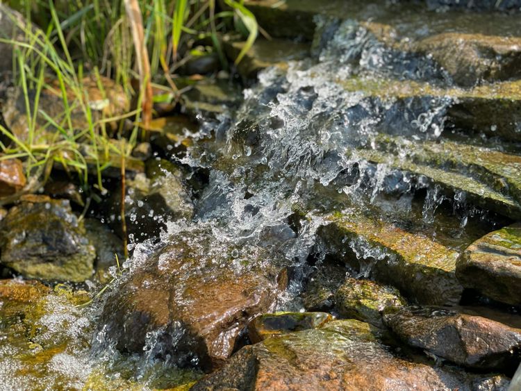 SBTN announces new companies committed to nature action