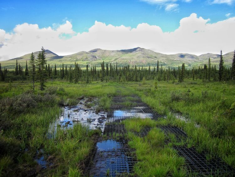 From nature risk to nature action: Lessons from CSO Futures’ webinar on restoration and resilience