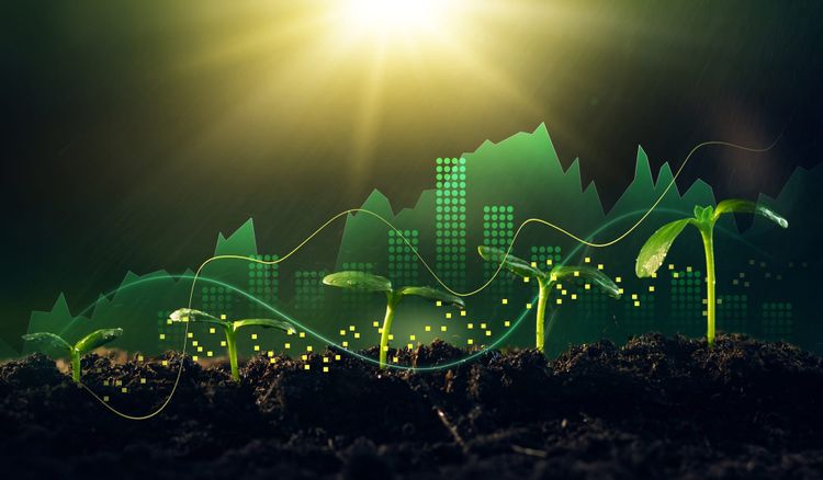 Empowering CSOs and their teams to turn climate risk into return on investment
