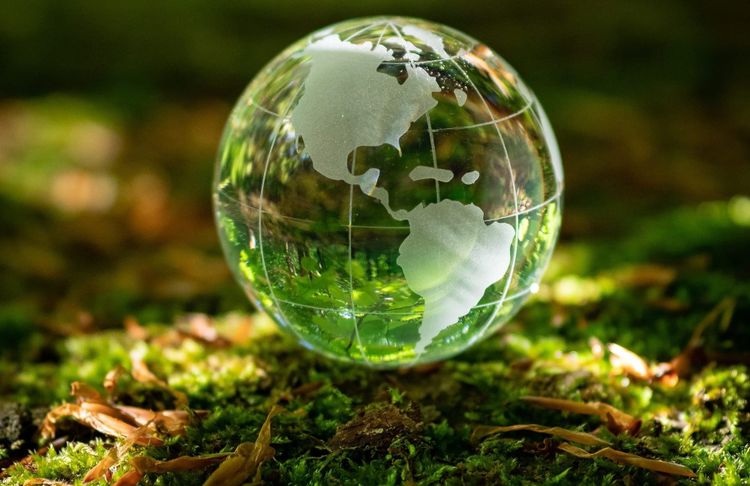 Carbon Trade Exchange launches Exchange API solution
