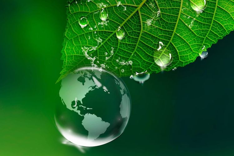 Environmental claims must be based on facts