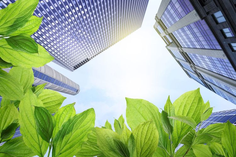 SBTi Services service to help companies understand their readiness for the corporate net zero standard version 2.0