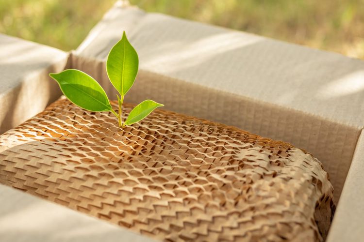 PPWR: high quality recycled fibre should be prioritised over virgin material