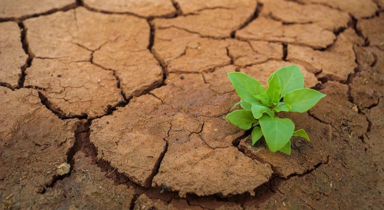 Climate resilience plans must put people first, new report says