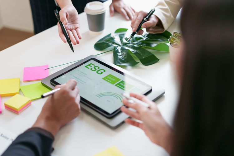 CDP introduces AI powered disclosure feature to support higher quality environmental reporting