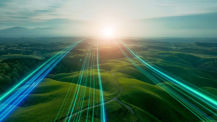 Holding the line for nature: how to protect nature finance when the market prizes durability