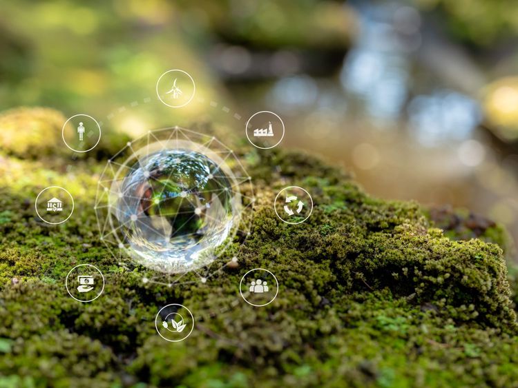 EcoVadis and Novata partner to deliver primary carbon data integration for corporate decarbonisation