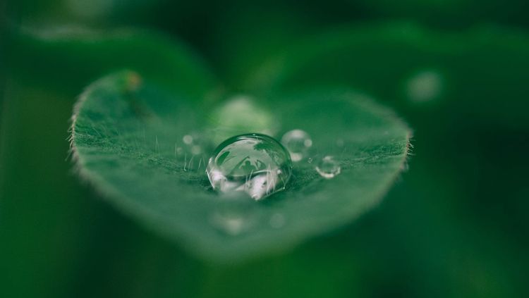 EmpCo directive: credible sustainability claims