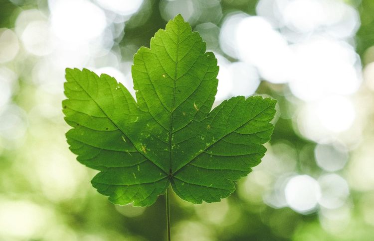 Datamaran rebrands, shifting from ESG issue management to enterprise governance