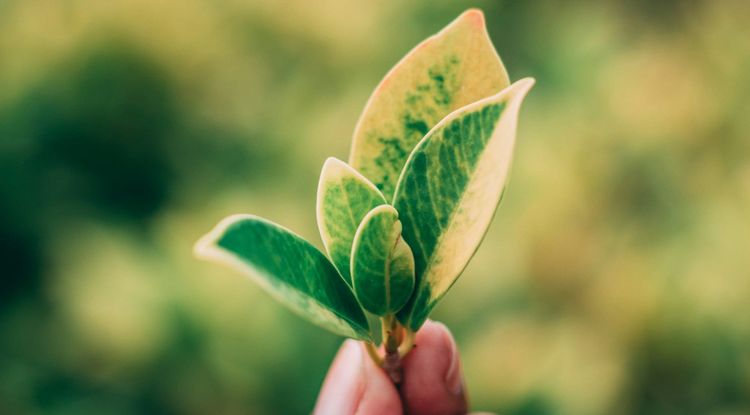 UN Global Compact launches framework to help companies turn commitments into action