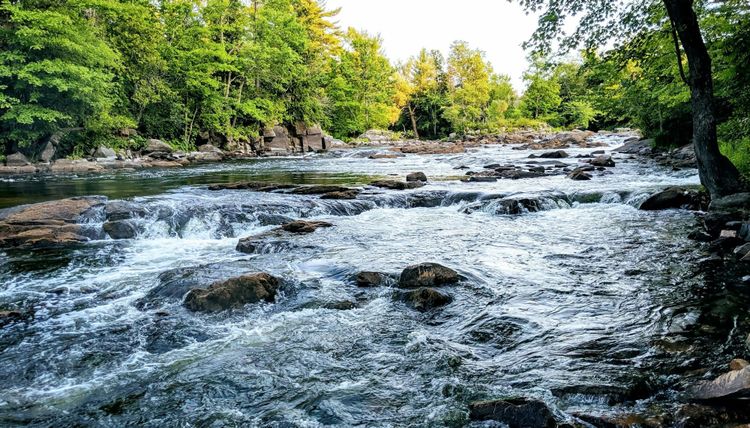 Recent water trends globally have serious future implications