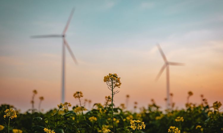 New EEA report: Clean energy technologies in the European Union