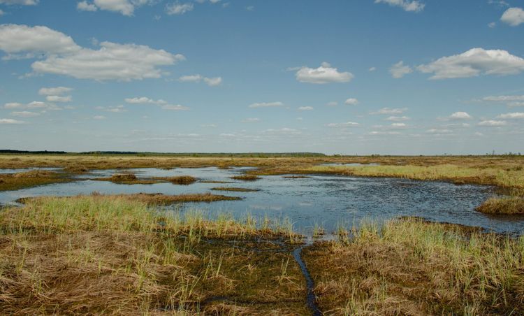 National Geographic Society funds inaugural wetland conservation projects through new Blue Boundaries programme