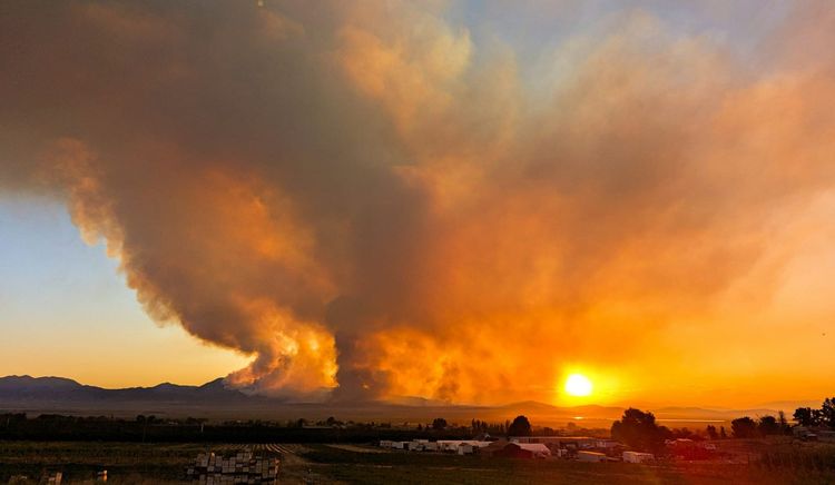Earth has hottest August on record