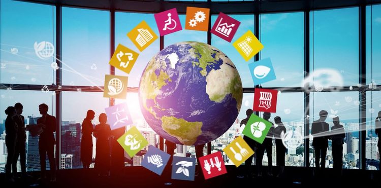 Companies make tangible contributions to SDGs but lack operational actions to advance environmental goals