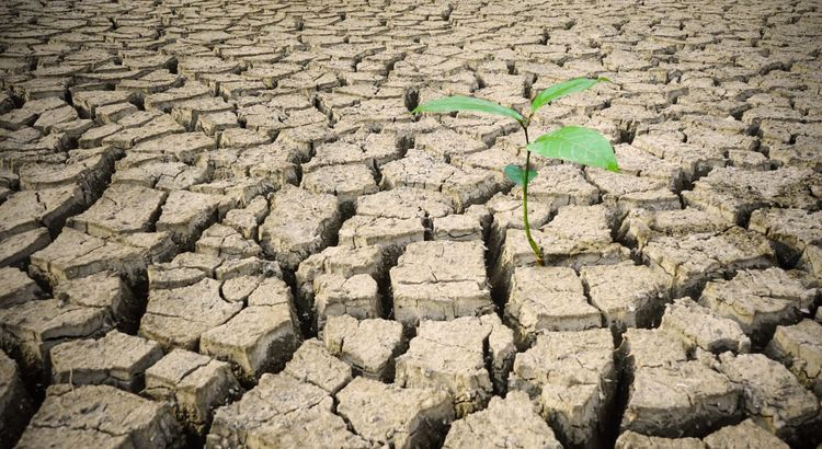 Avoiding a climate catastrophe means acting now, says UN secretary-general
