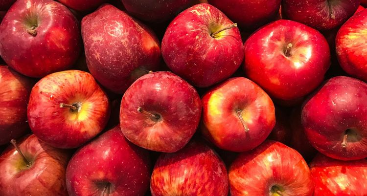 Earthday.org launches ‘Food for Our Planet’ as global Earth Day 2027 theme