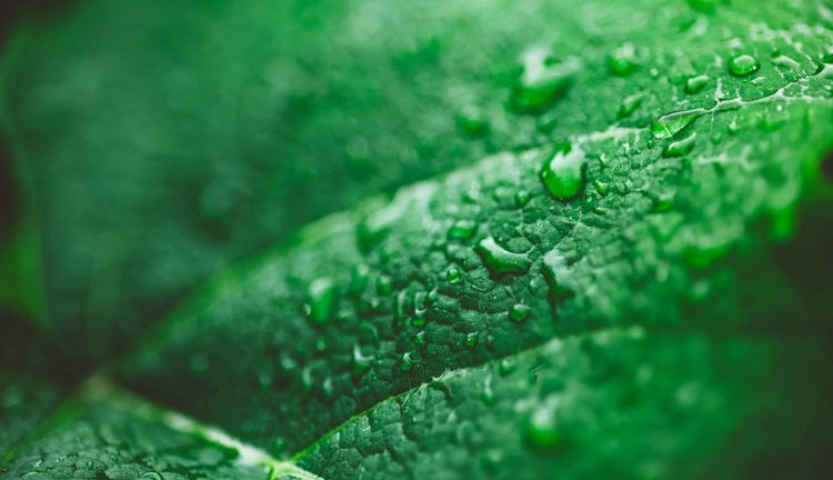 New EU greenwashing law makes sustainable shopping easier