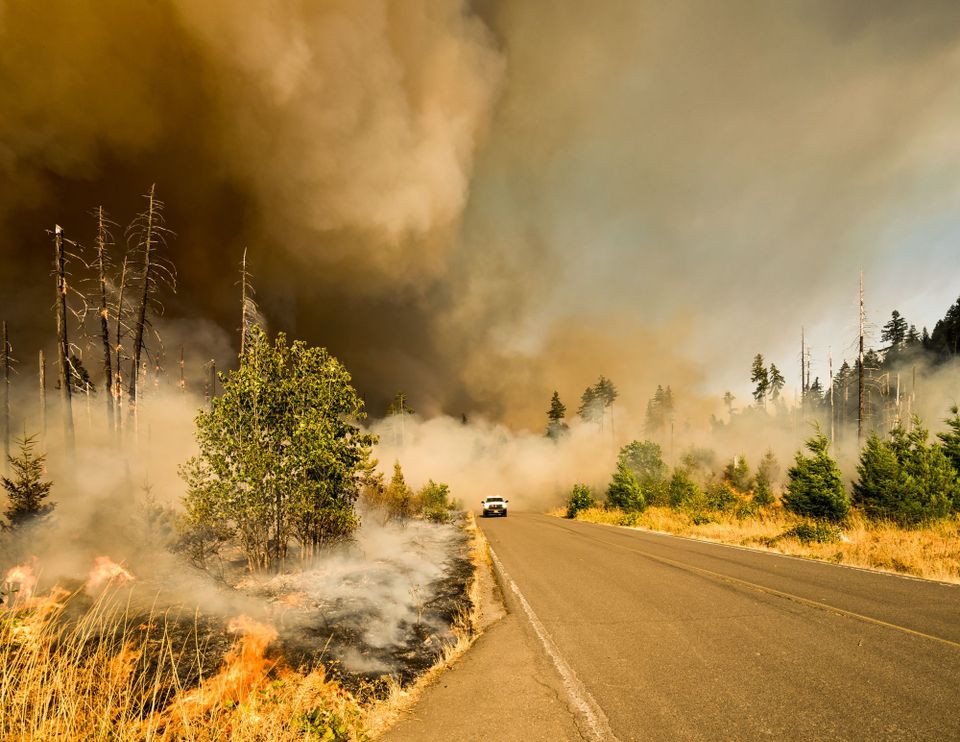 Investments are shifting towards climate adaptation