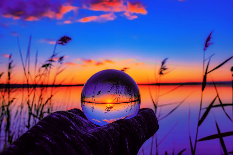 What will Chief Sustainability Officers focus on in 2024?
