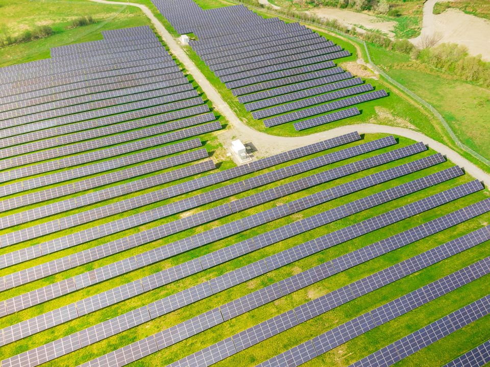 World’s most sustainable companies invest three times more than average into green activities – and it pays off