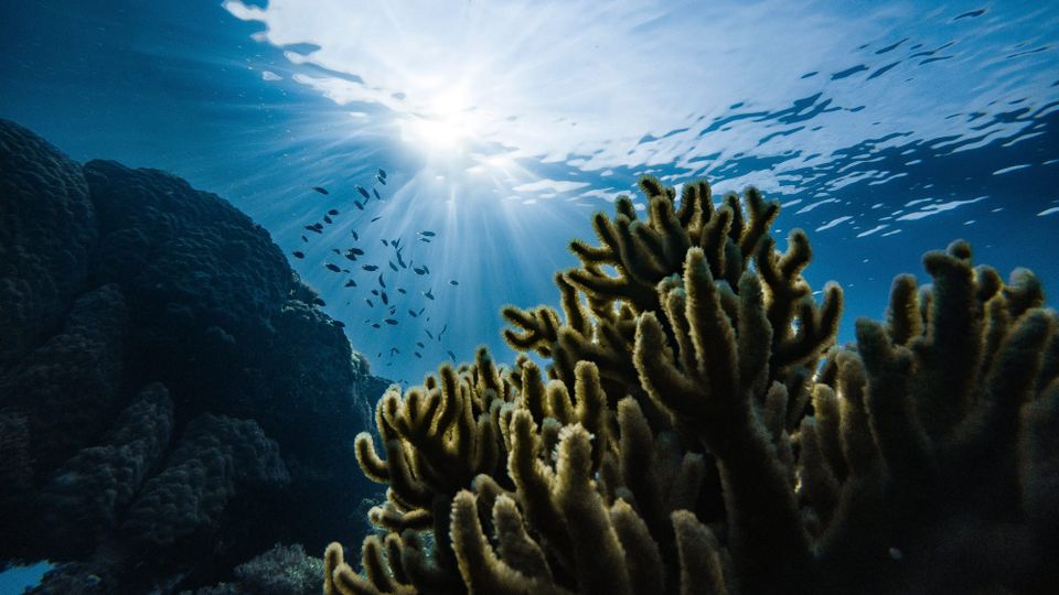 Nature-related disclosures adopted by 320 firms worth US$4 trillion