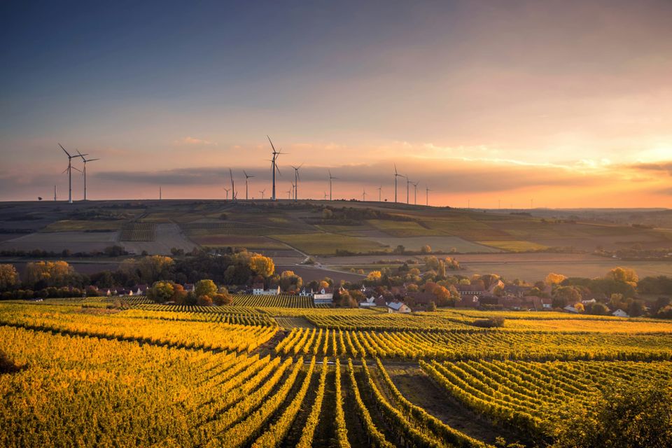 Emissions covered by EU ETS down by 50% since 2005