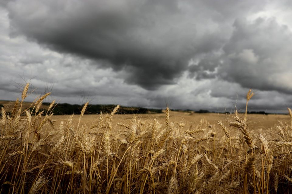 EU agriculture already loses €28bn a year to extreme weather events