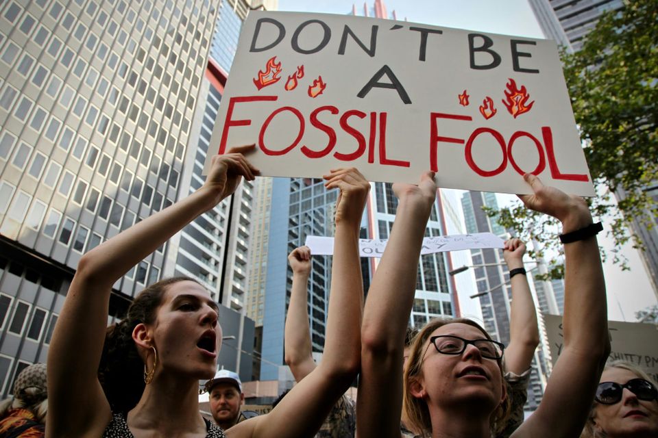 Energy retailer admits offsets ‘do not prevent or undo’ fossil fuels harms in greenwashing settlement